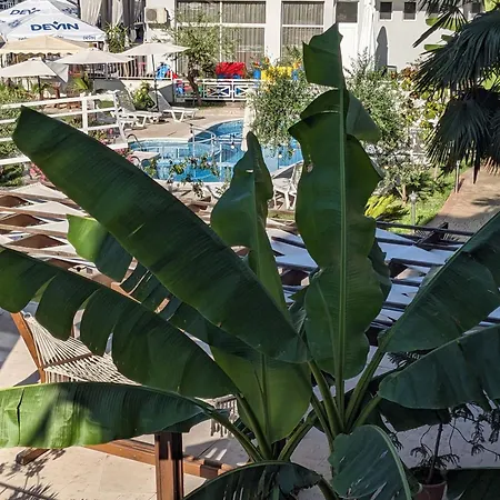 Apartament White Sands Beachfront Getaway In Aurelia - Sea View & Direct Access *